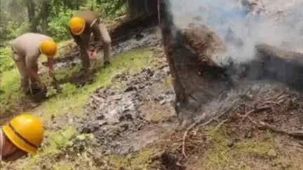 उदयपुर: लाहौल घाटी के रतोली के जंगल में लगी आग, एक लाख रुपये की वन संपदा का हुआ नुकसान