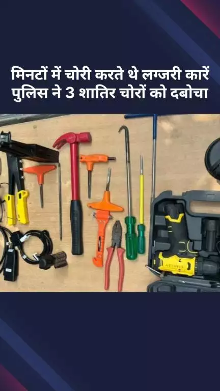 अलीपुर: लग्जरी कारें मिनटों में चोरी करने वाले 3 शातिर चोर पुलिस के हत्थे चढ़े