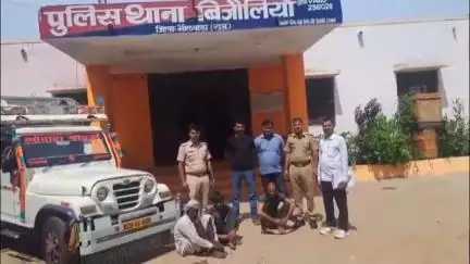 बिजौलिया: बिजौलियां पुलिस ने भैंसों की चोरी करने वाले गिरोह का भंडाफोड़ किया, चार भैंसे बरामद, पिकअप ज़ब्त, 3 बदमाश गिरफ्तार