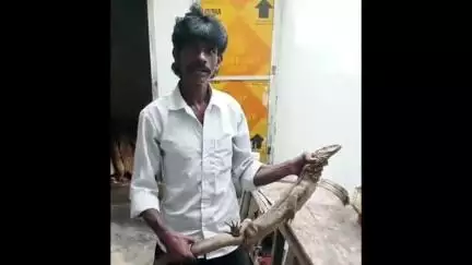 पन्ना: पन्ना के धाम मोहल्ले में घर में घुसी विशाल गौह, रेस्क्यू किया गया, मची अफरा-तफरी