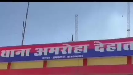 अमरोहा: अमरोहा देहात में कैलसा मार्ग पर खेत में काम कर रहे किसान को तेंदुआ दिखाई दिया