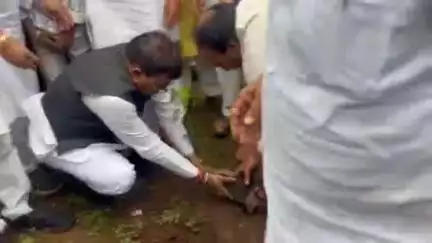 खंडवा: मूंदी में 'एक पेड़ मां के नाम' कार्यक्रम आयोजित, खंडवा सांसद भी हुए शामिल