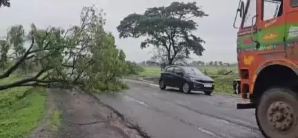 नंदुरबार: नेत्रंग शेवाळी महामार्गावर धमडाई फाट्याजवळ झाडे उन्मळून पडल्याने वाहतुकीला अडथळा