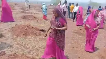 झाबुआ: 'जल गंगा संवर्धन' अभियान के तहत झाबुआ में इस साल भी लगभग 25 लाख सीड बॉल बिखेरे गए