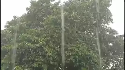 ବାଲେଶ୍ବର ମ୍ୟୁନିସିପାଲଟି: ଆସନ୍ତା ୨୪ ଘଂଟା ରେ ଜିଲ୍ଲାକୁ ପ୍ରବଳ ବର୍ଷା ନେଇ ରେଡ ୱାର୍ନିଂ ଜାରି
