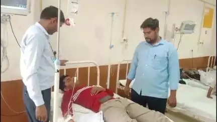 चूरू: गांव मेहरी राजवियान के खेत में काम कर रहे युवक को सांप ने काटा, जिला अस्पताल में इलाज जारी