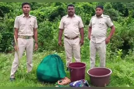 ମୋହନା: ଢେପାଗୁଡା ଗ୍ରାମ ନିକଟ ଜଙ୍ଗଲ ରେ ଅବକାରୀ ଟିମ୍ ଚଢାଉ, ବିପୁଳ ପରିମଣର ଦେଶି ମଦ ସହ ପୋଚ ନଷ୍ଟ।