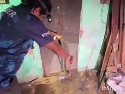 കുട്ടനാട്: തലവടിയിൽ വെള്ളം കയറിയ വീട്ടിൽ നിന്ന് മൂർഖൻ പാമ്പിനെ പിടികൂടി