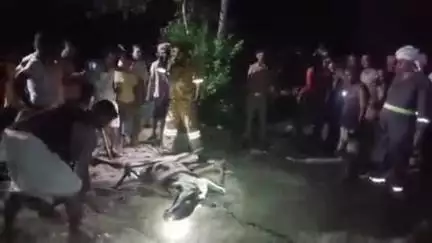आलापुर: रात के अंधेरे में संसाधनों की कमी के बावजूद कुएं में गिरे मवेशी को जिंदा निकाला, सोशल मीडिया पर हुआ वीडियो वायरल