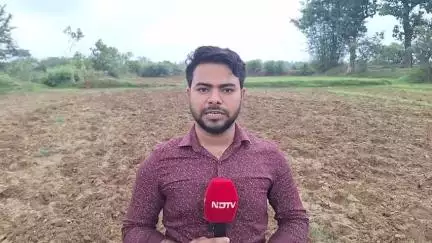 पत्थलगांव: पतरापाली में 21 जंगली हाथियों के आ जाने से ग्रामीणों में दहशत का माहौल, खेती नही कर पा रहे किसान #jansamasya