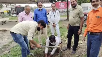 चांद: चांद के प्राथमिक स्वास्थ्य केंद्र के प्रांगण में किया गया पौधारोपण