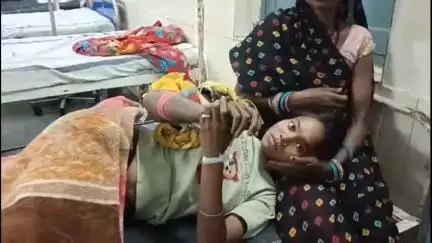 नागौद: बड़गडी गांव में लकड़ी बीन रही 18 वर्षीय युवती को जहरीले सर्प ने काटा, उंचेहरा अस्पताल में भर्ती