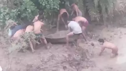 रन्नौद: लगदा में दलदल में फंसी तीन भैंसों को ग्रामीणों ने मानव श्रृंखला बनाकर बचाया, वीडियो वायरल