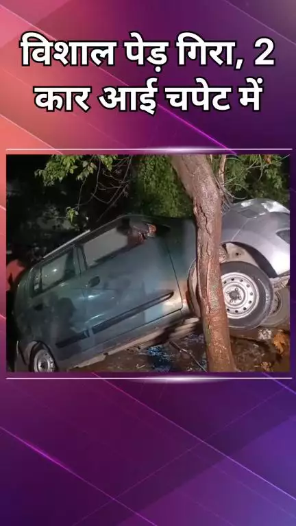 हौज खास: शेख सराय: विशालकाय पेड़ अचानक गिरा, 2 कारें चपेट में
