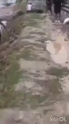 पलिया: रेल ट्रैक पर बाढ़ का खतरा बढ़ा, अतरिया गांव के पास शारदा नदी का कटाव तेज, किसानों में दहशत, बचाव कार्य शुरू