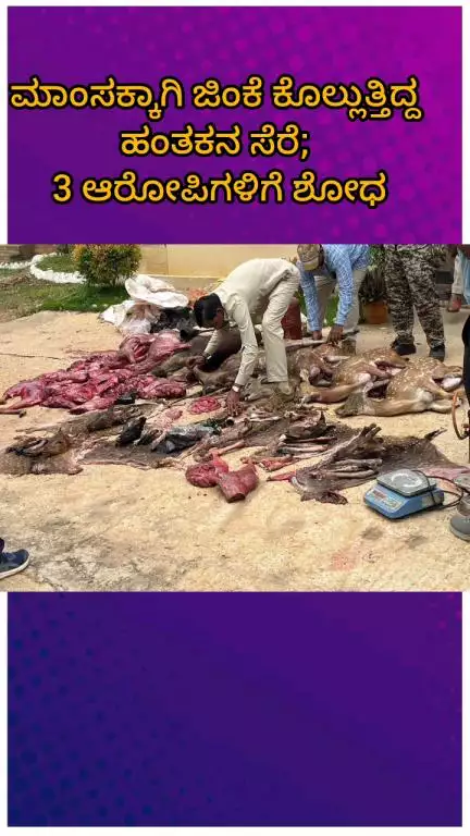 ಬೆಂಗಳೂರು ಉತ್ತರ: ಮಾಂಸಕ್ಕಾಗಿ ಜಿಂಕೆ ಕೊಲ್ಲುತ್ತಿದ್ದ ಹಂತಕನ ಸೆರೆ, 3 ಆರೋಪಿಗಳಿಗೆ ಶೋಧ,ಬನ್ನೇರುಘಟ್ಟ ರಸ್ತೆಯಲ್ಲಿ ಕಾರ್ಯಾಚರಣೆ