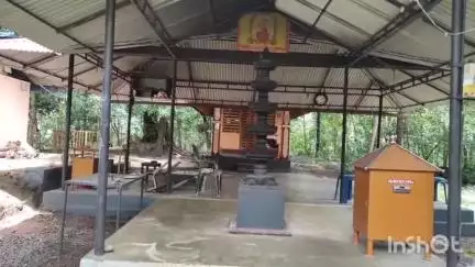 നിലമ്പൂർ: എണ്ണ കുടിച്ച് മതിവരാതെ കരടി, അമരമ്പലം കൊടമുക്ക് ക്ഷേത്രത്തിൽ വീണ്ടും കരടിയെത്തി