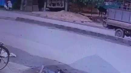 जांजगीर: नैला गौशाला के पास ओवरटेक करते वक्त माजदा वाहन की चपेट में आए बाइक सवार युवक की हुई थी मौत, CCTV फुटेज आया सामने