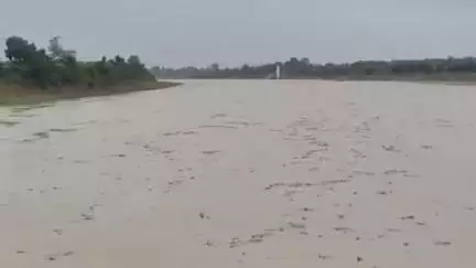 उदयपुरा: भारी बारिश के बाद तेज से बढ़ रहा है नर्मदा नदी का जलस्तर, बोरास रेत घाट पर उफान पर नदी
