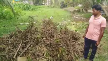 কৃষ্ণনগর ১: ভীমপুর গ্রাম পঞ্চায়েতের উপপ্রধানের বিরুদ্ধে এক মহিলাকে হুমকি ও জোরপূর্বক সরকারি গাছ কাটার অভিযোগ, থানার দ্বারস্থ মহিলা