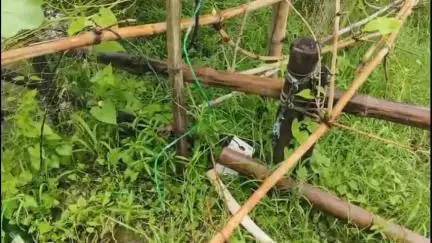 নামখানা: নারায়ণপুরে বিদ্যুৎস্পৃষ্ট হয়ে মৃত্যু ব্যক্তির, পাঠানো হল ময়নাতদন্তে