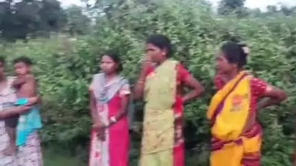 सरैयाहाट: हरिपुर, जियाजोर के आदिवासी किसानों को कुरमा हाट लेम्पस से सरकारी धान बीज नहीं मिला #jansamasya