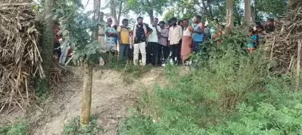 बेलदौर: शव की अफवाह पर बेलदौर पुलिस पहुंची, मवेशी का शव मिला