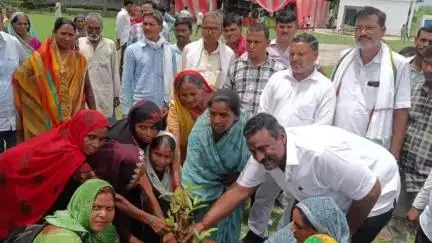 शाहगंज: बूढूपुर ग्राम में विधायक ने मन की बात कार्यक्रम सुनने के बाद किया पौधरोपण