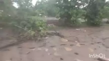 वाशिम: कंत्राटदाराच्या चुकीमूळे गुंज कार्ली येथील शेतकऱ्याच मोठ नुकसान रस्त्याच पाणी शेतात शेती गेली खरडून विहीर खचली