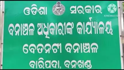 ବଡସାହି: ଭାଇଗା ସାହିରେ 2ଟି ଗୋଠଛଡା ବଣୁଆ ଦନ୍ତାହାତୀ ଗାଁ ମୁହାଁ ହେଉଥିବା ନେଇ ସତର୍କ ସୂଚନା ଜାରି କଲେ ଗଜସାଥୀ