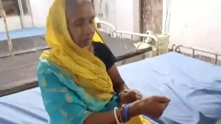 महागामा: बेल्डीहा गाँव में सांप काटने से महिला घायल, महागामा रेफरल अस्पताल में भर्ती