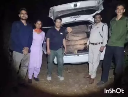 फतेहपुर: मरौर के समीप 16 खैर के मोछो सहित लदी गाड़ी को वन विभाग ने किया कब्जे में, खैर तस्कर फरार