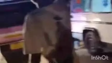 जामनेर: गारखेडाजवळ पुण्याला प्रवासी घेऊन जाणारी संगीतम ट्रॅव्हल पलटली,10 ते 12 प्रवासी जखमी,उपचारासाठी दवाखान्यात दाखल.