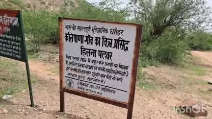 चरखी दादरी: हिलना पत्थर: पूरे भारत में केवल कलियाणा में पाया जाता है, ग्रामीण संरक्षण में जुटे