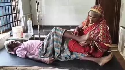 ସୁକିନ୍ଦା: ହରିପୁର ଗ୍ରାମରେ ବିଷଧର ସାପ କାମୁଡାରେ ବୃଦ୍ଧ ଗୁରୁତର