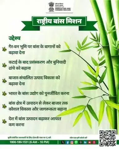 बांस में छिपी है भविष्य की ताकत - आय बढ़ाएं, आयात घटाएं!