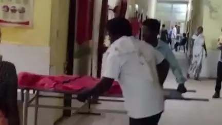 दुधि: मूरता गांव में सर्पदंश से एक बच्चे की हुई मौत, परिजनों में मचा कोहराम, बालक डोरी बिनने गया था