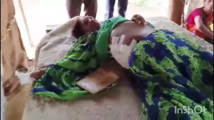 जलालाबाद: गांव धियरा में घास लेकर लौट रही महिला पर सांड ने किया हमला, महिला का पेट फटा और गंभीर रूप से घायल हुई