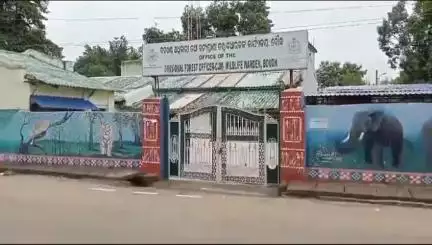 ବୌଦ୍ଧ ସଦର: ତେଲିବନ୍ଧ ଛକ ନିକଟରୁ ଦୁଇ ହାତୀ ଦାନ୍ତ ସହ ଜଣଙ୍କୁ ଗିରଫ କଲା ଏସଟିଏଫ