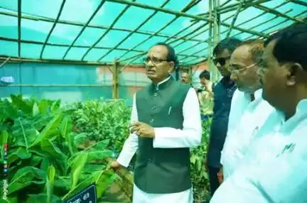 कृषि नवाचार से किसान को लाभ, मोतिहारी में हुआ सार्थक संवाद।
#ViksitKrishiSankalp2025 #Agriculture