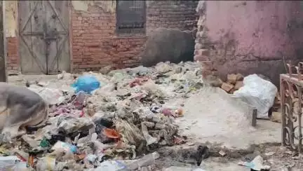 सूरौठ: सूरोठ कस्बे में गंदगी के लगे ढेर बीमारी फैलने का अंदेशा  लोग परेशान प्रशासन बेखबर
 #jansamasya