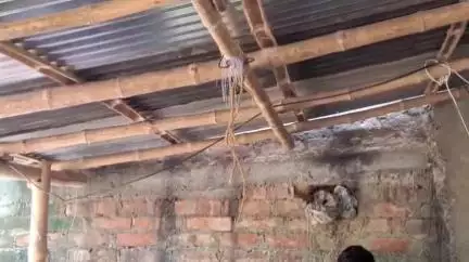 লালগোলা: নদাইপুর শালিকায় রহস্যজনক ঝুলন্ত দেহ উদ্ধার, পরিবারের দাবি: হত্যা করে ঝুলিয়ে দেওয়া হয়েছে