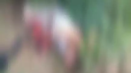 बस्ती: नगर थाना क्षेत्र के पोखरनी चौराहे के पास नेशनल हाईवे के बगल मिला अज्ञात व्यक्ति का शव, जांच में जुटी पुलिस