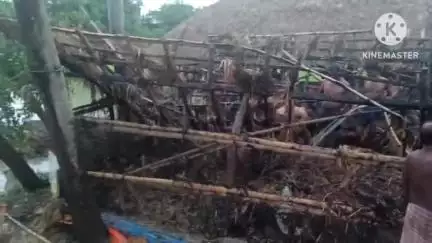 নলহাটি ২: বিরোলচৌকি গ্রামে বাজ পড়ে পুড়ে গেল একটি বাড়ি ও পোল্ট্রি ফার্ম, আহত মালিক