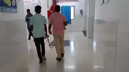 नोखा: डुमरा गांव से पुलिस ने ऑटो लुटेरे को गिरफ्तार कर जेल भेजा