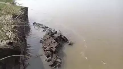 जोगापट्टी: गंडक नदी के कटाव से सैकड़ों एकड़ खेती योग्य भूमि हुई नदी में विलीन किसानों बड़ी चिंता

#Jansamasya