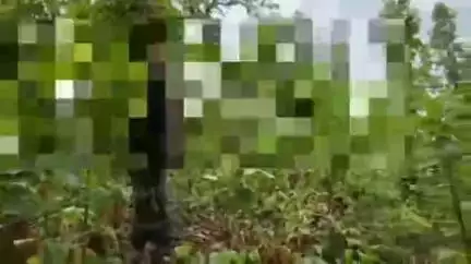 डिंडौरी: चांदरानी के जंगल में पेड़ पर लटकी मिली अज्ञात युवक की लाश, समनापुर पुलिस कर रही पहचान की कोशिश