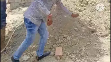 बस्ती: बस्ती जिले के विशेश्वरगंज के नारायणपुर गांव में निकला जहरीला सांप, रेस्क्यू टीम ने उसे अपने साथ ले जाया