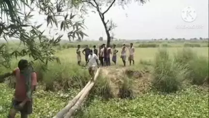 খানাকুল ১: কোটার জলা থেকে উদ্ধার মহিলার পচাগলা মৃতদেহ