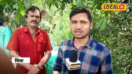 लाल चंदन की खेती से चमका सतना का नाम, अब विदेशों में भी मांग! सुनिए क्या है पूरी दास्तान ..
